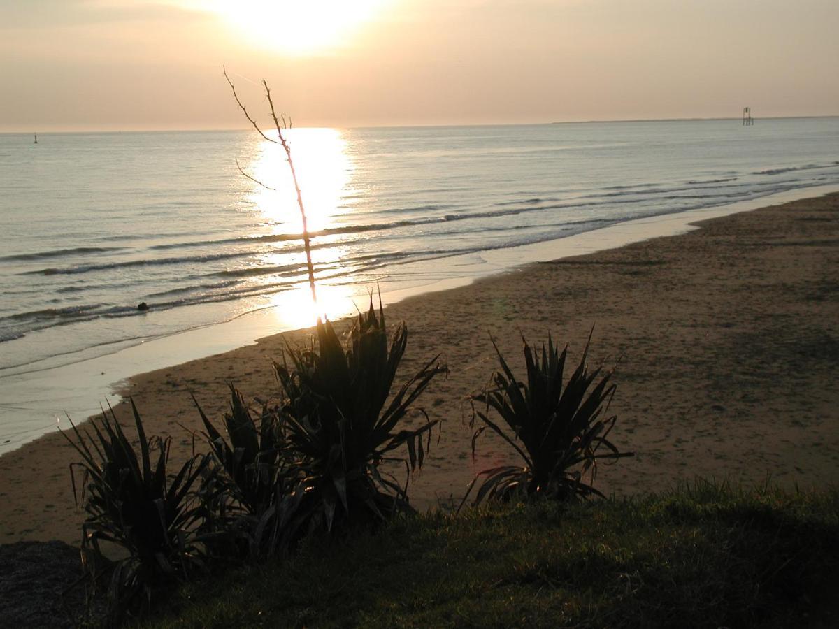 Studio Dunes aux Ecureuils Saint-Palais-sur-Mer Extérieur photo