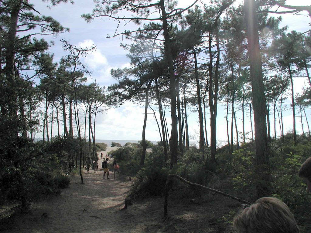 Studio Dunes aux Ecureuils Saint-Palais-sur-Mer Extérieur photo